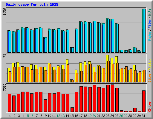 Daily usage for July 2025