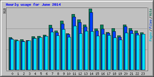 Hourly usage for June 2014