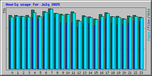 Hourly usage for July 2025