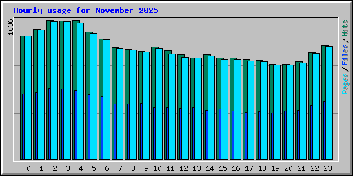 Hourly usage for November 2025