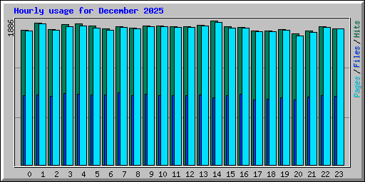 Hourly usage for December 2025