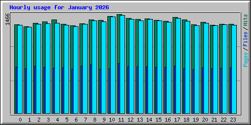 Hourly usage for January 2026